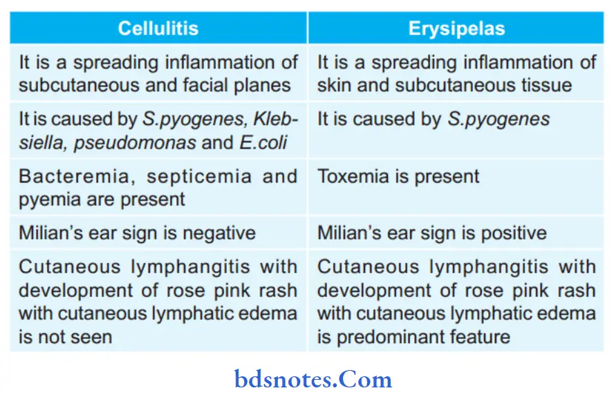 Acute Infections Enumerate diffrences between cellulitis and erysipelas