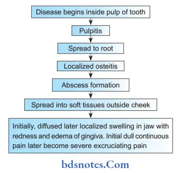 Acute Infections Pathology 