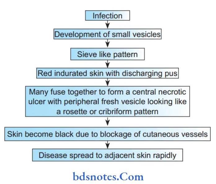Acute Infections Pathology