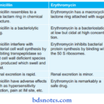 Aminoglycoside And Macrolide Antibiotics Compare Penicillin And Erythromycin