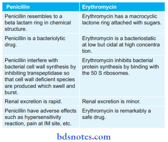 Aminoglycoside And Macrolide Antibiotics Compare Penicillin And Erythromycin