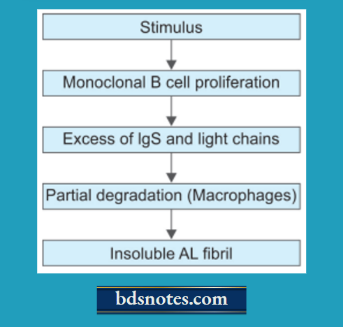 Amyloidosis Primary Amyloidos is Pathogenesis