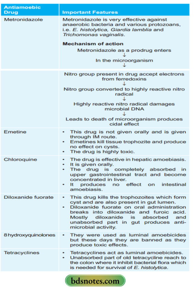 Antiamoebic Drugs In Brief
