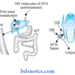 Antianginal And Other Anti-Ischemic Drugs Diagram Showing Comparison Of Oral And Sublingual Administration Of Nitroglycerine