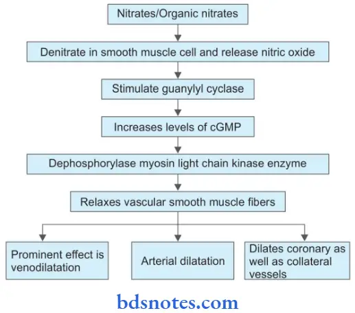 Antianginal And Other Anti-Ischemic Drugs Organic Nitrates In Angina