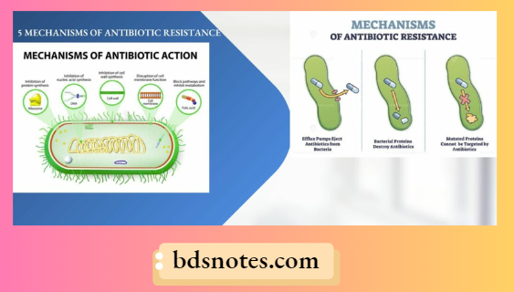 Antibiotic Resistance Mechanisms Diagram