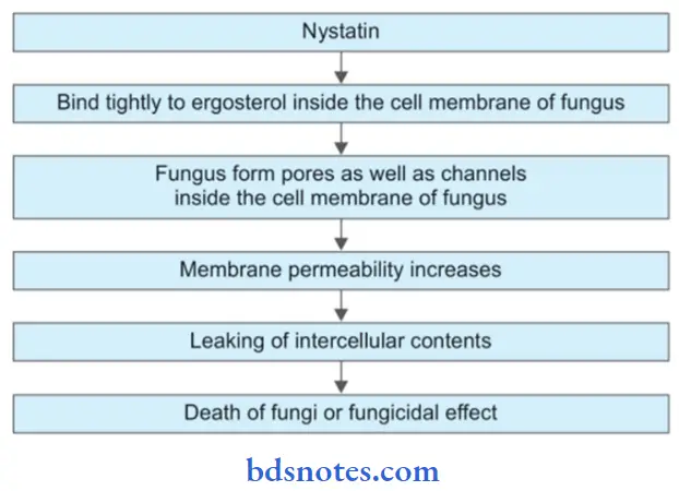 Antifungal Drugs Mechanism Of Action Of Nystatin