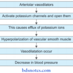 Antihypertensive Drugs Atenolol Mode Of Action
