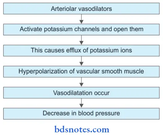 Antihypertensive Drugs Mechanism Of Action Of Arteriolar Vasodilator