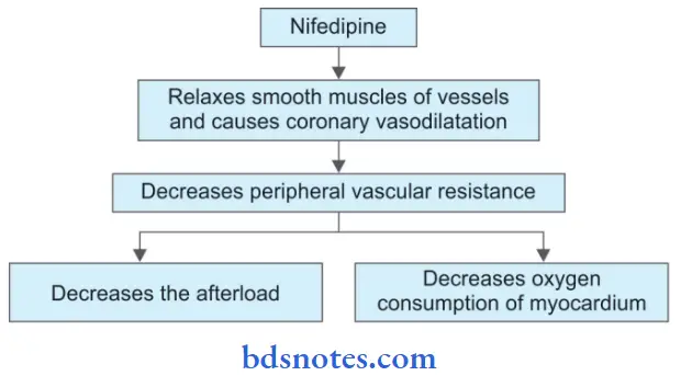 Antihypertensive Drugs Nifedipine Mechanism Of Action