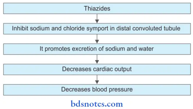 Antihypertensive Drugs Role Of Thiazides In Management Of Hypertension