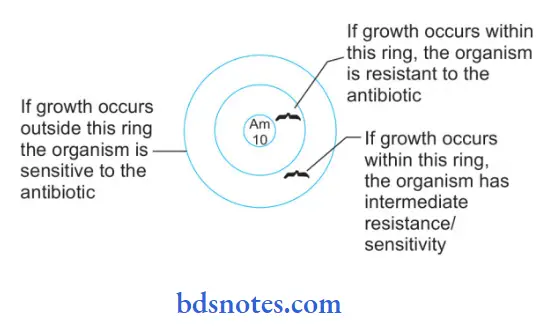 Antimicrobial Sensitivity Testing Intermediate sensitive growth