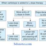 Antiparkinsonian Drugs Levodopa And Carbidopa Combination