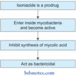 Antitubercular Drugs Tuberculosis Mechanism Of Action