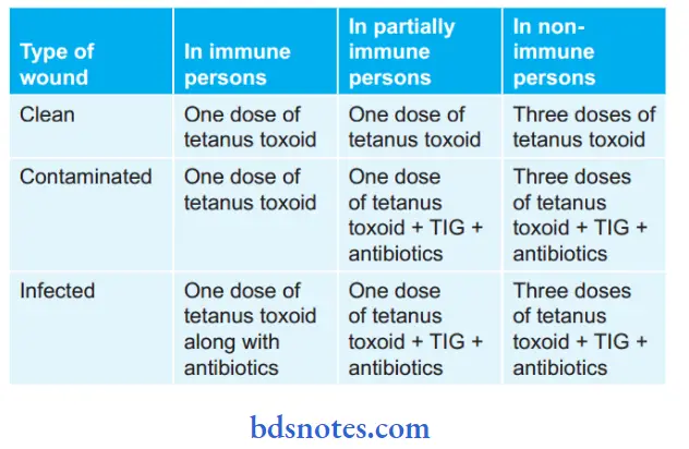Bacteriology Clostridium Prophylaxis Of tetanus