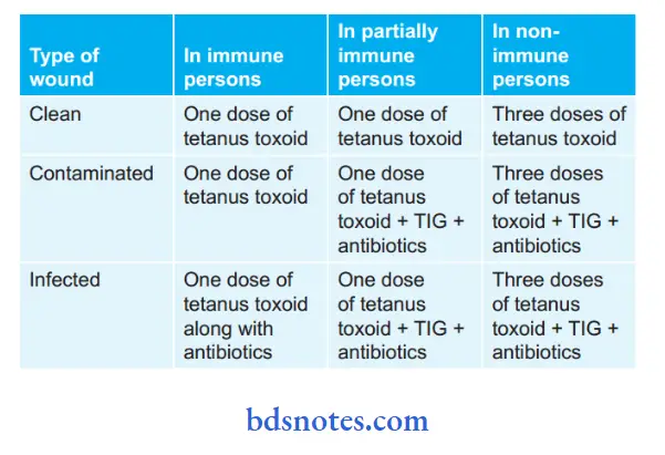 Bacteriology Clostridium Summary of Tetanus Prophylaxis