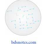 Bacteriology Corynebacterium Corynebacterium diphtheriae