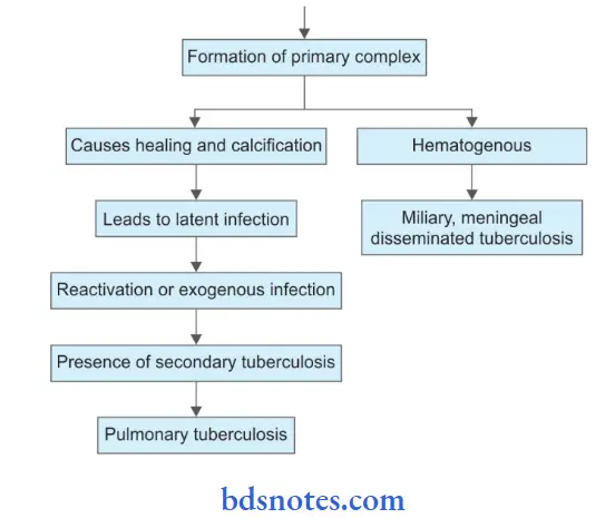 Bacteriology Mycobacteria Pthology Produced.