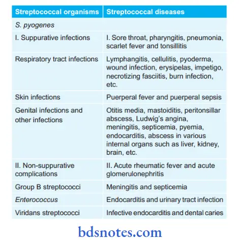 Bacteriology Streptococcus Streptococcal diseases