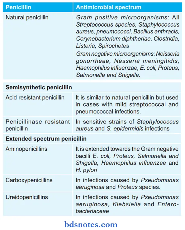 Beta Lactam Antibiotics Antimicrobial Spectrum Of Pencillin.