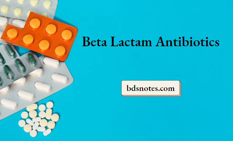 D:\bdsnots ... bhargavi\Pharmacology\Templets\Beta Lactam Antibiotics.png