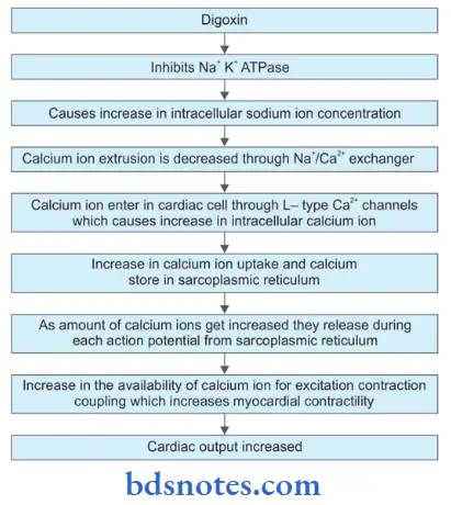 Cardiac Glycosides And Drugs For Heart Failure Mechanism Of Action