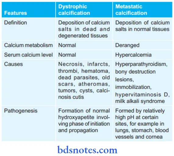 Cell Injury And Cellular Adaptations Difference Between Dystrophic And Metastatic Calcification