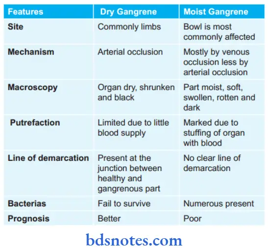 Cell Injury And Cellular Adaptations Difference Between Moist And Dry Gangrene