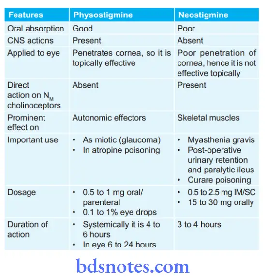 Cholinergic System And Drugs Nestimine And Physostigmine.