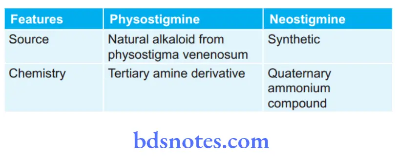 Cholinergic System And Drugs Nestimine And Physostigmine
