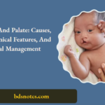 Cleft Lip And Palate Causes Types Clinical Features And Surgical Management