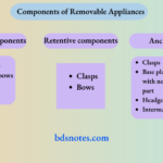 Components of Removable Appliances