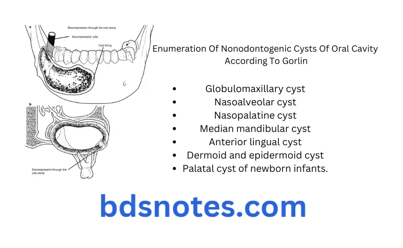 Cysts Of Oral Cavity Important Question And Answers Enumeration Of Nonodontogenic Cysts Of Oral Cavity According To Gorlin