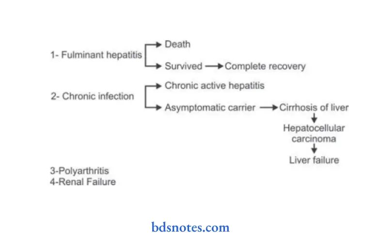 DIseases of liver complication Fate of HBv