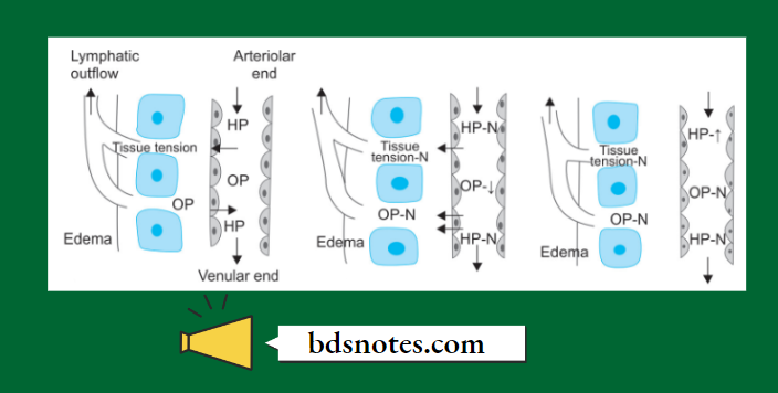 Decrease Plasma Pressures-Increase Capillary Pressures