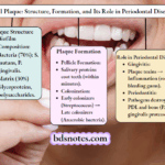 Dental Plaque Biofilm Periodontitis