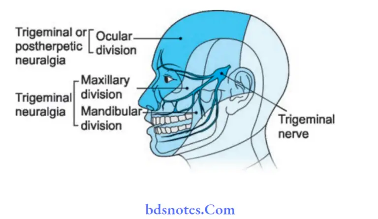 sing-yell-chant-or-gargle-5-ways-to-calm-your-nervous-system