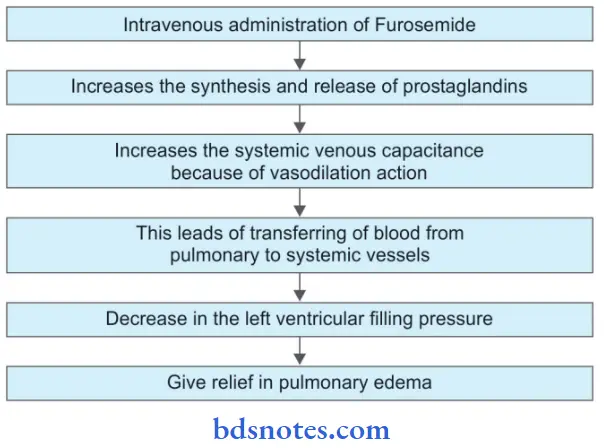Drug Action On Kidney Furosemide In Edema