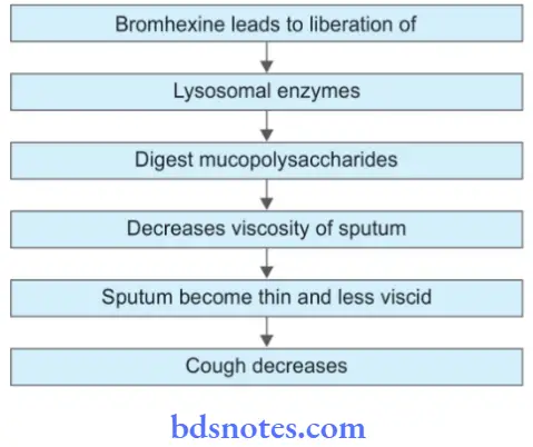 Drugs Used In Respiratory System Bromohexine