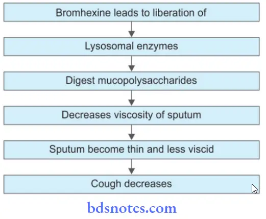 Drugs Used In Respiratory System Mechanism Of Action