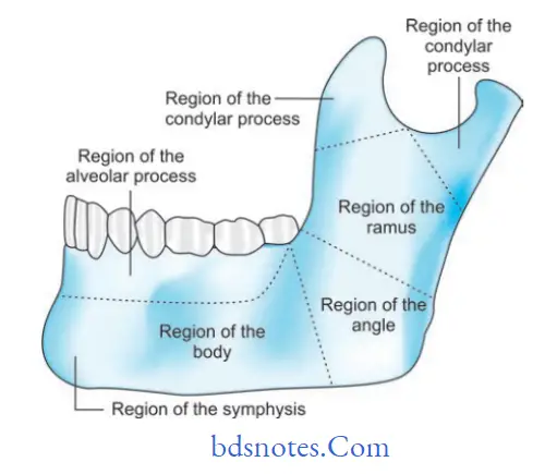Fractures of Bone Different types of mandibular fractures