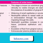 Gingival Fluid Exudation Process