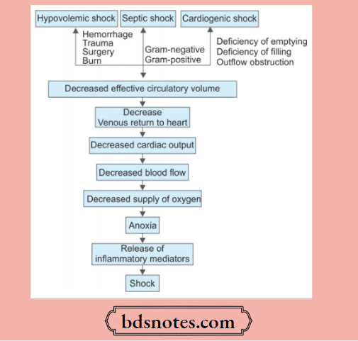 Hemodynamic Changes Etiopathology