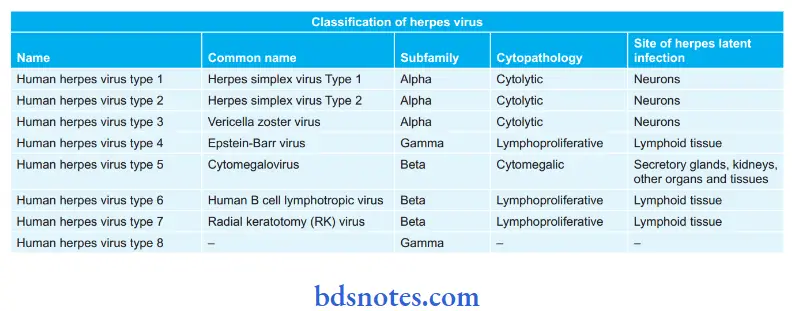 Herpes Virus Classification of Herpes virus