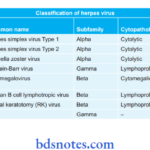 Herpes Virus Classification of Herps virus