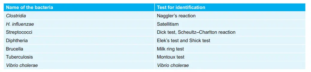 Identification Tests for Various Bacteria