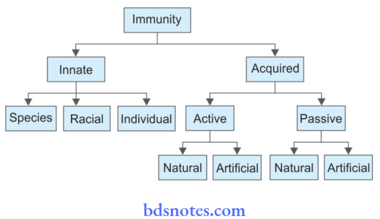 Immunology Types of immunity