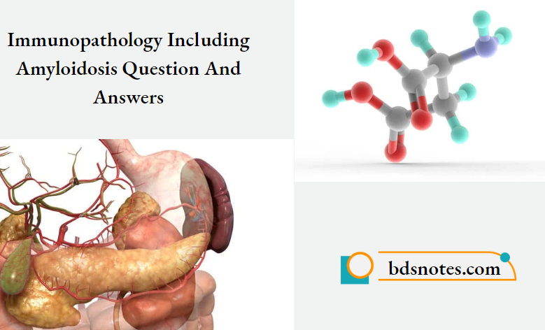 Immunopathology Including Amyloidosis Question And Answers