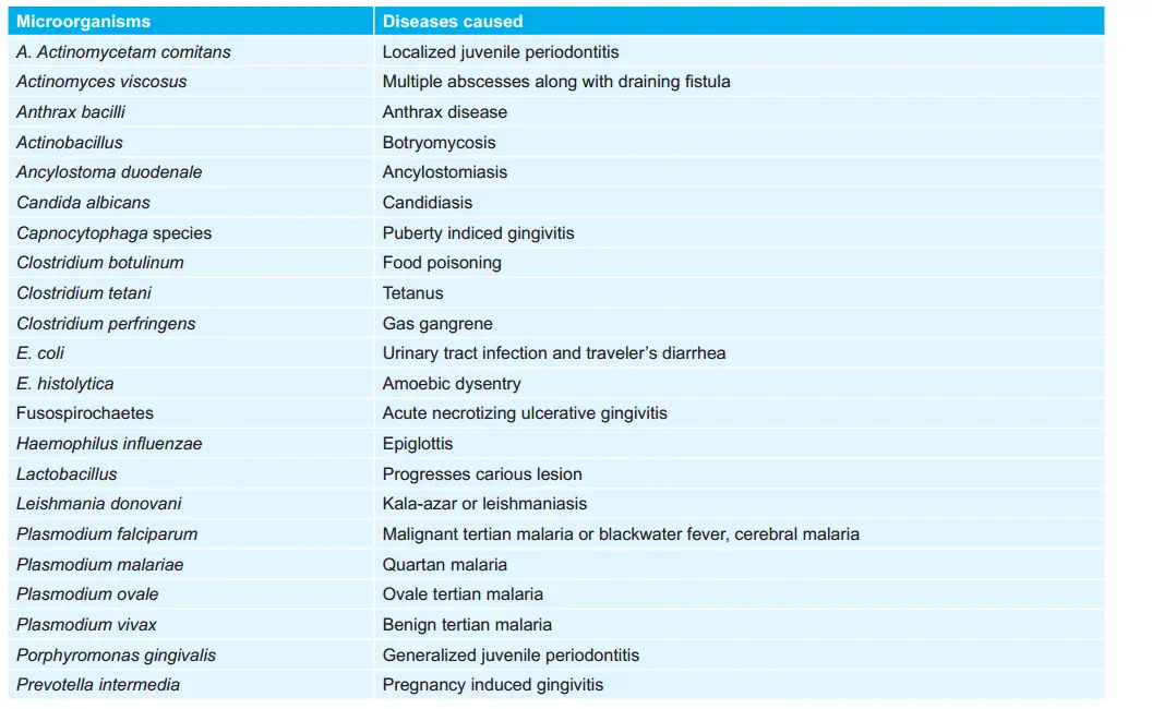 Important Microorganisms and diseases caused by them