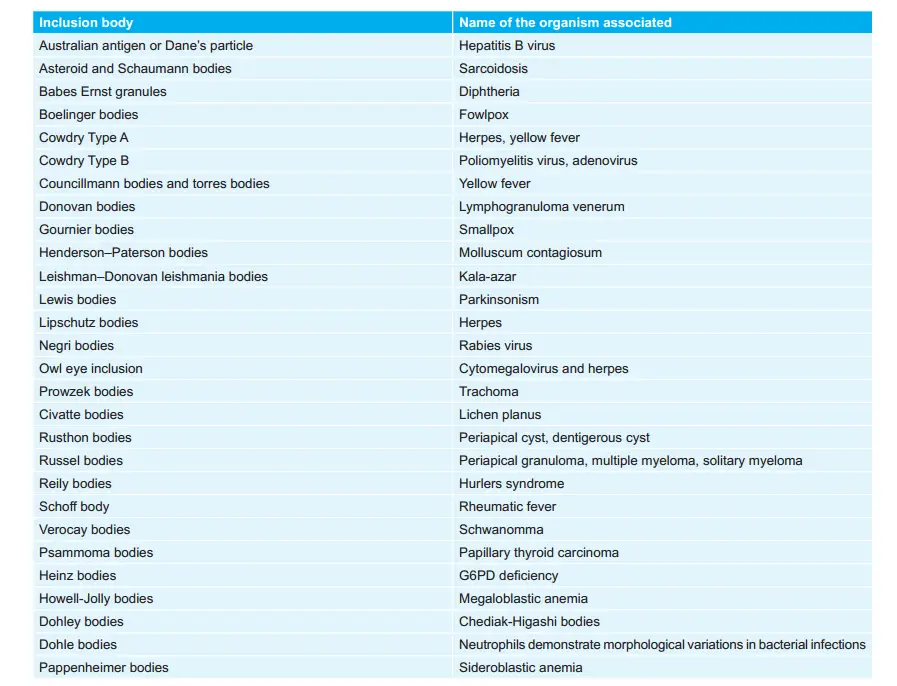 Inclusion Bodies and Organisms Associated with it